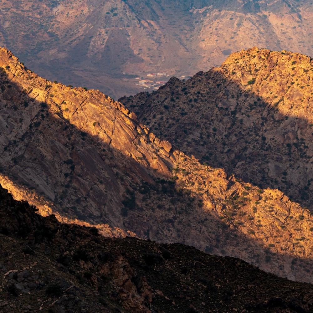 أعمال الفنان تركي الودعاني: تجسيد الطبيعة والعمارة