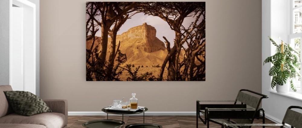 افضل طريقة لتعليق اللوحات: دليل عملي شامل لتحويل جدران منزلك إلى تحف فنية