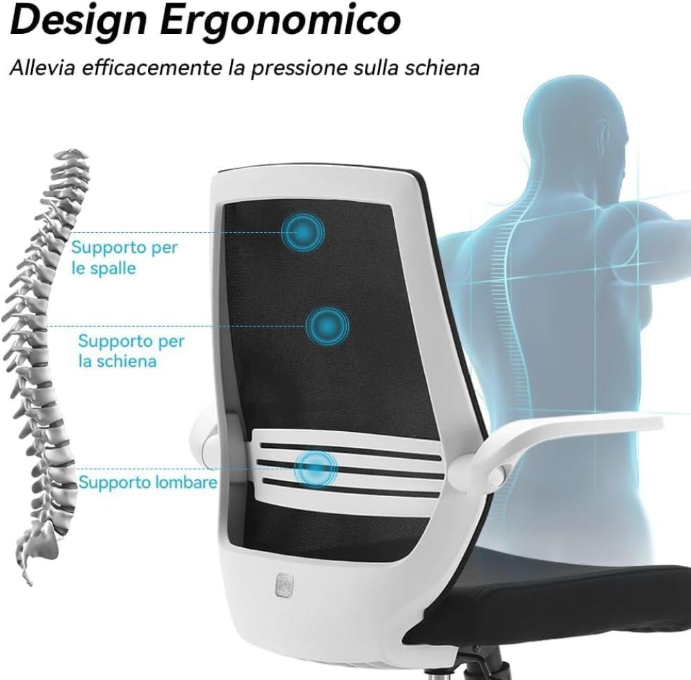 كرسي مكتب مريح M76GY من ووديز، كرسي مكتب دوار بارتفاع قابل للتعديل بظهر شبكي مع دعم لاسفل الظهر، مسند ذراع قابل للطي 90 درجة (اسود)