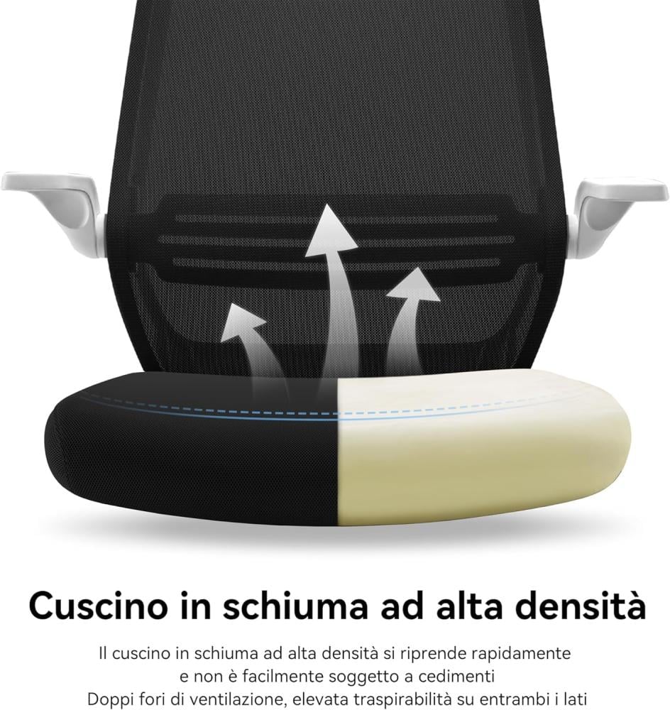 كرسي مكتب مريح M76GY من ووديز، كرسي مكتب دوار بارتفاع قابل للتعديل بظهر شبكي مع دعم لاسفل الظهر، مسند ذراع قابل للطي 90 درجة (اسود)