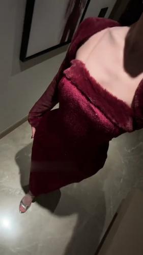 فساتين سهرة مخمل مع فرو مع فصوص