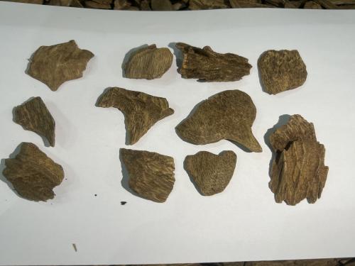 موروكي حي جنيه فرنسي