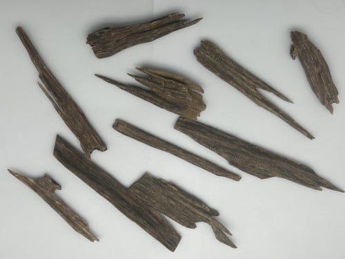 زورا آسام سوبر