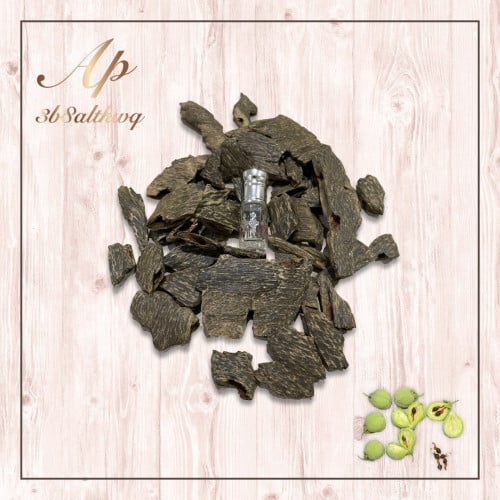 عود بنقالي من غابات سيليهت