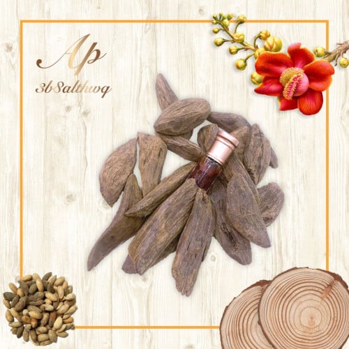 موروكي العزيمة