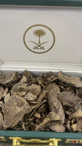 قواقع مالينو دبل سوبر