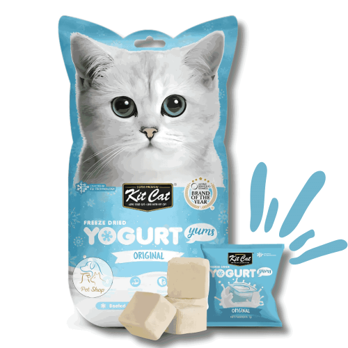 Kit Kat Frozen Yogurt Natural Flavour Cat Treats 10 x 1g بيت شوب