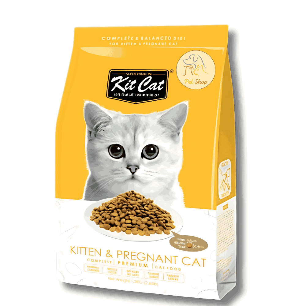 Kit Cat Dry Food for Kittens and Pregnant Cats kg بيت شوب