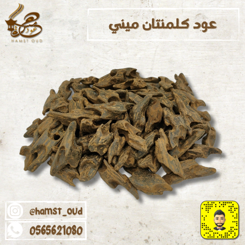 كلمنتان ميني