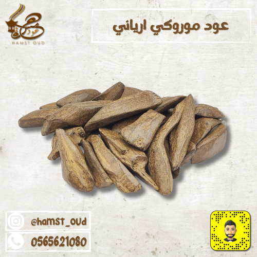 موروكي ارياني