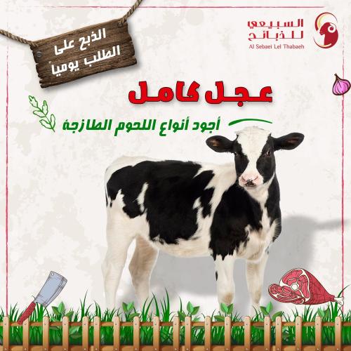 عجـل كامـل