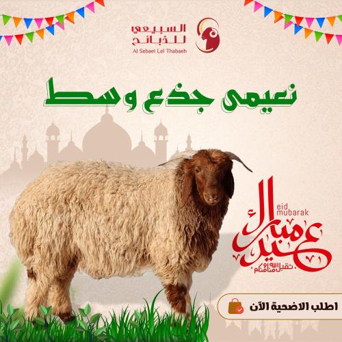نعيمي جذع وسط