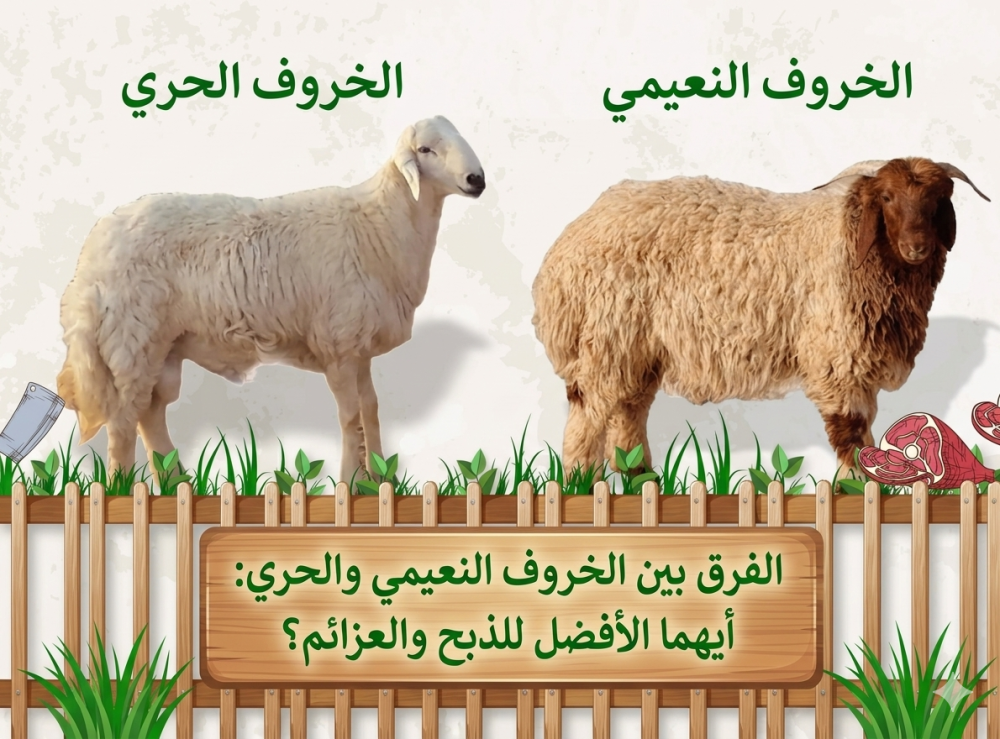 الفرق بين النعيمي والحري