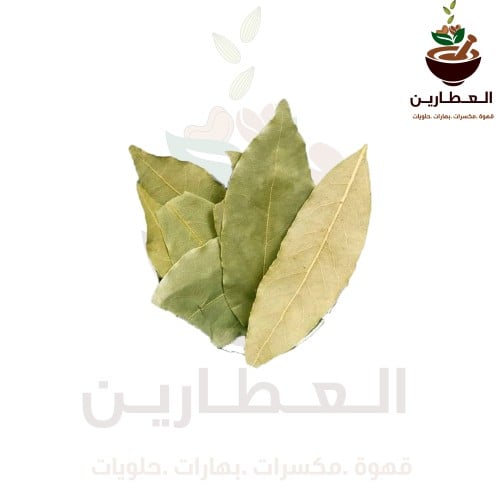 ورق الغار