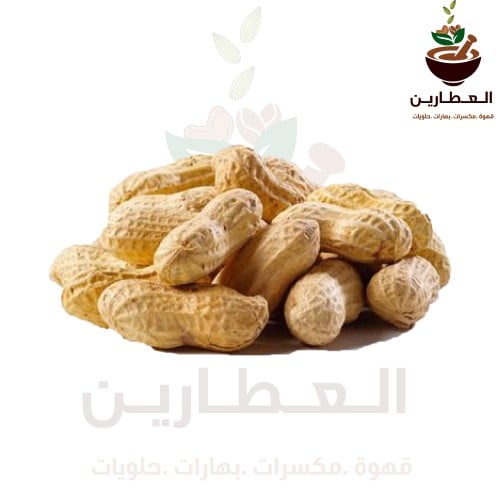 فول سوداني