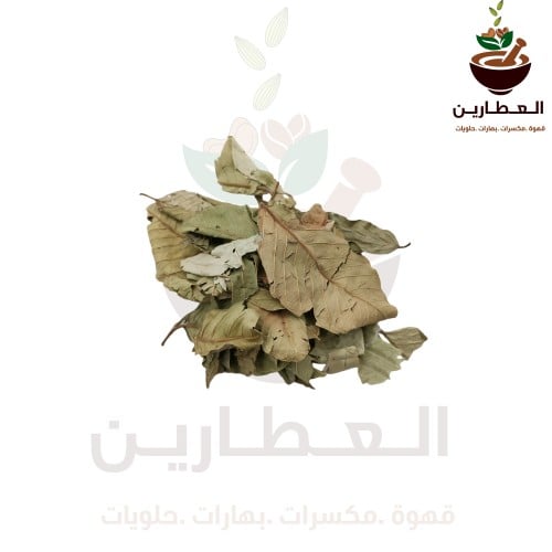 ورق الجوافة