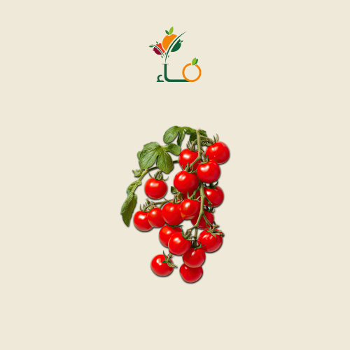 طماط كرزي علبه