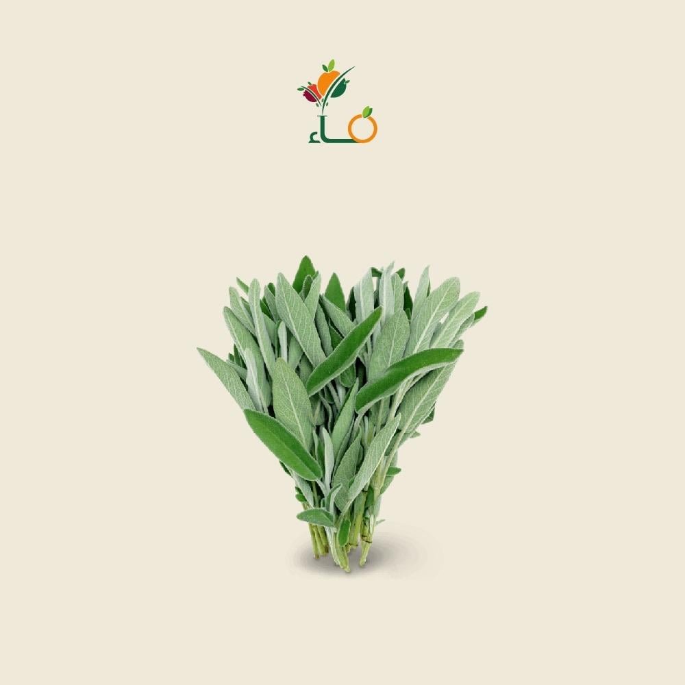 مرامية عشب