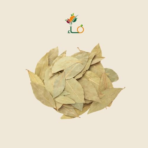 ورق الغار