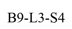 B9-L3-S4