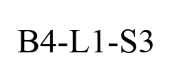 B4-L1-S3