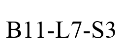 B11-L7-S3