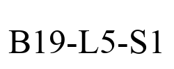 B19-L5-S1