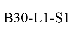 B30-L1-S1