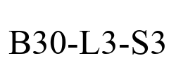 B30-L3-S3