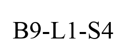 B9-L1-S4