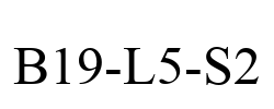 B19-L5-S2