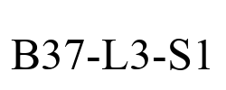 B37-L3-S1