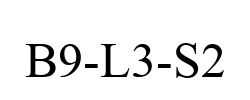 B9-L3-S2