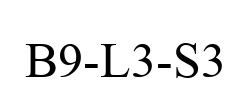 B9-L3-S3