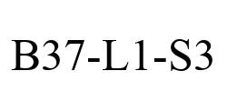 B37-L1-S3