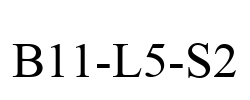 B11-L5-S2