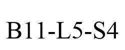 B11-L5-S4