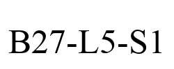 B27-L5-S1