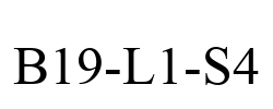 B19-L1-S4