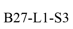 B27-L1-S3