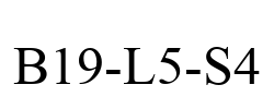 B19-L5-S4