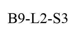 B9-L2-S3