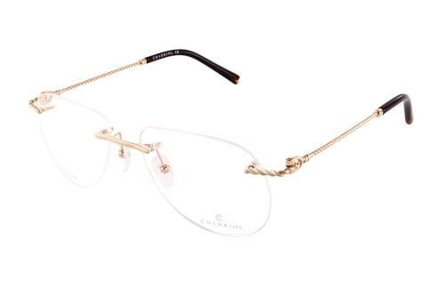 نظارة شاريول-71033 C01