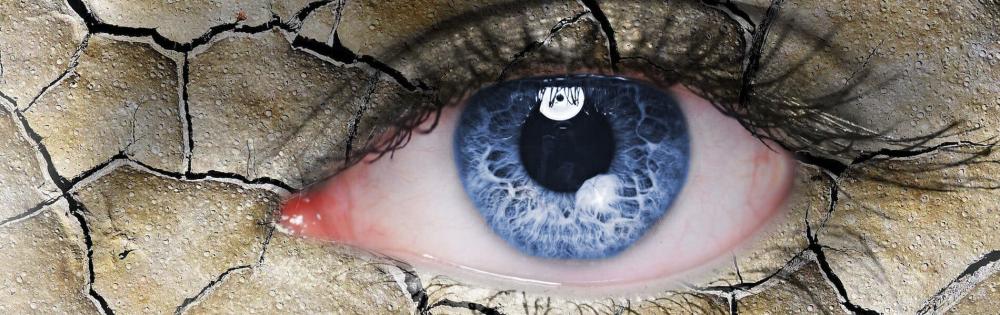 الفرق-بين-البصر-والنظر - زكي للبصريات