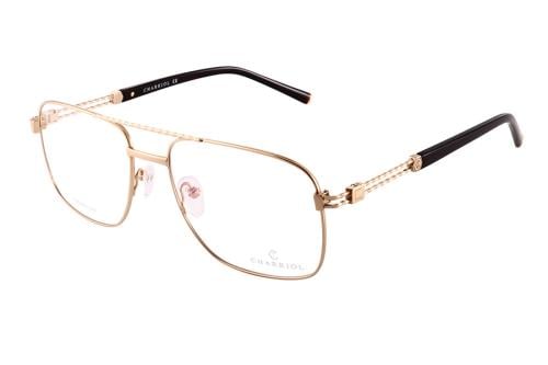 نظارة شاريول-71048 C01