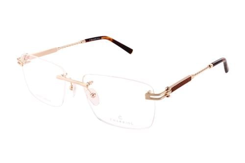 نظارة شاريول-75104 C01