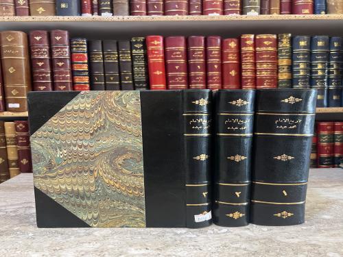 8484-تاريخ الامام الشيخ محمد عبده 3/1 - محمد رشيد رضا