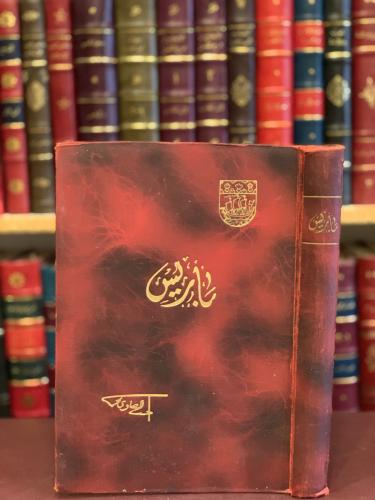 15941-باريس/احمد الصاوي