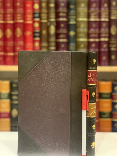 13330-نظرات في تاريخ الادب الاندلسي/كامل كيلاني