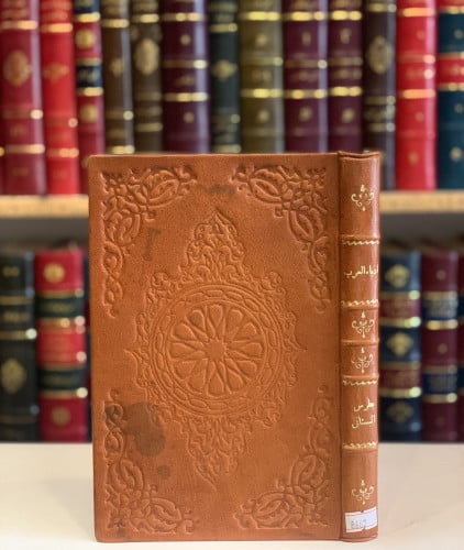 8662-ادباء العرب في الاندلس وعصر الانبعاث حياتهم اثارهم نقد اثارهم/بطرس البستاني